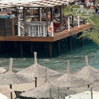 фото из отзыва ID 2693327