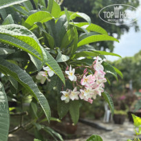 фото из отзыва ID 2693335
