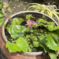 фото из отзыва ID 2693335