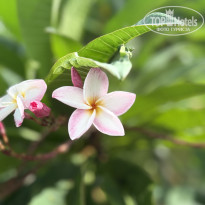 фото из отзыва ID 2693335