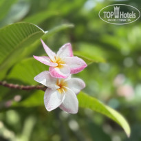 фото из отзыва ID 2693335