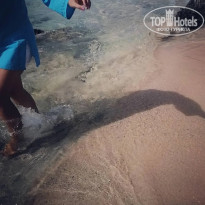 фото из отзыва ID 2693077