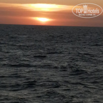 фото из отзыва ID 2693077