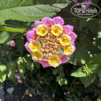 фото из отзыва ID 2693389