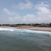 фото из отзыва ID 2693385