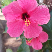 фото из отзыва ID 2693380