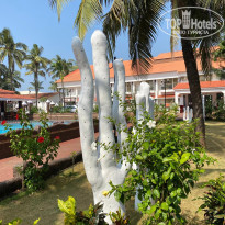 фото из отзыва ID 2693380