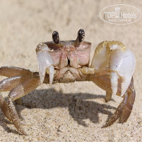 фото из отзыва ID 2693373