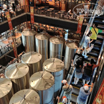 фото из отзыва ID 2693373