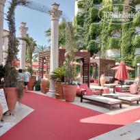 фото из отзыва ID 2693394