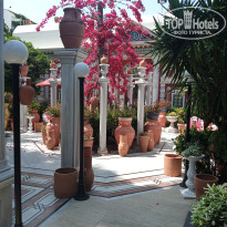 фото из отзыва ID 2693394