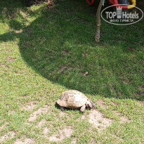 фото из отзыва ID 2693394