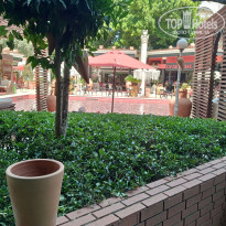 фото из отзыва ID 2693394