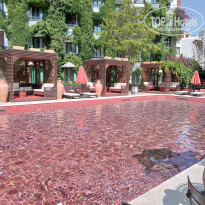 фото из отзыва ID 2693394