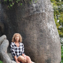 фото из отзыва ID 2693373