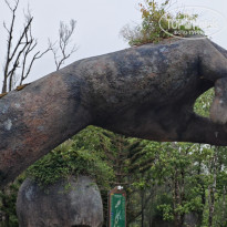 фото из отзыва ID 2693373