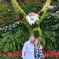 фото из отзыва ID 2693373