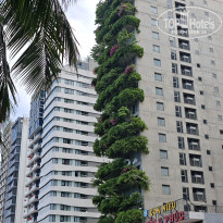 фото из отзыва ID 2693373