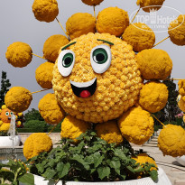 фото из отзыва ID 2693373