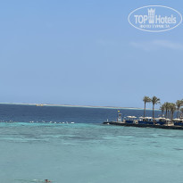 фото из отзыва ID 2693468