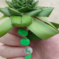 фото из отзыва ID 2693509