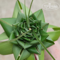 фото из отзыва ID 2693509