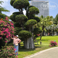 фото из отзыва ID 2693590