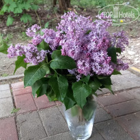 фото из отзыва ID 2693599