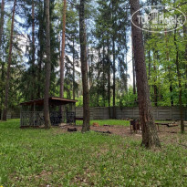 фото из отзыва ID 2693599