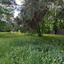 фото из отзыва ID 2693599