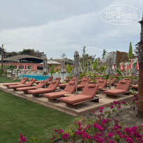 фото из отзыва ID 2693642