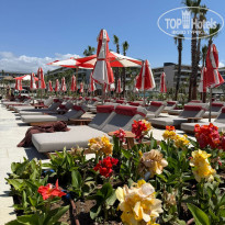 фото из отзыва ID 2693642