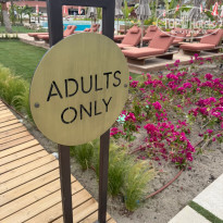 фото из отзыва ID 2693642