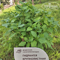 фото из отзыва ID 2693264