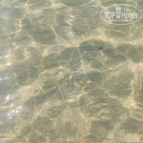 фото из отзыва ID 2693698