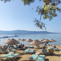 фото из отзыва ID 2693698