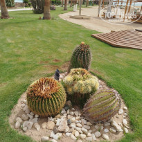 фото из отзыва ID 2693776