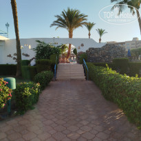 фото из отзыва ID 2693776