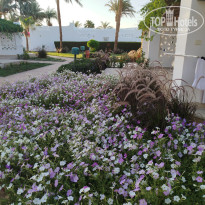 фото из отзыва ID 2693776