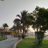 фото из отзыва ID 2693776