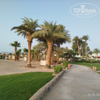 фото из отзыва ID 2693776