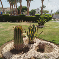 фото из отзыва ID 2693776