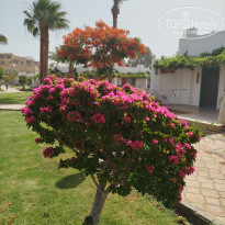 фото из отзыва ID 2693776