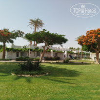 фото из отзыва ID 2693776