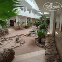 фото из отзыва ID 2693776