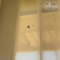 фото из отзыва ID 2693820