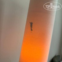 фото из отзыва ID 2693820