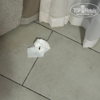 фото из отзыва ID 2693838