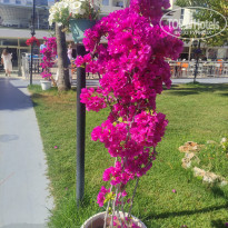 фото из отзыва ID 2693879