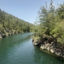 фото из отзыва ID 2693888